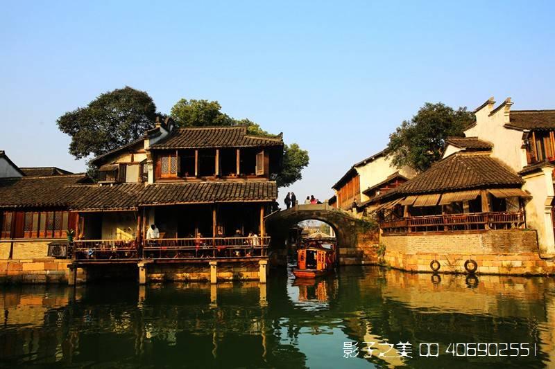 动物帮帮忙保卫家园